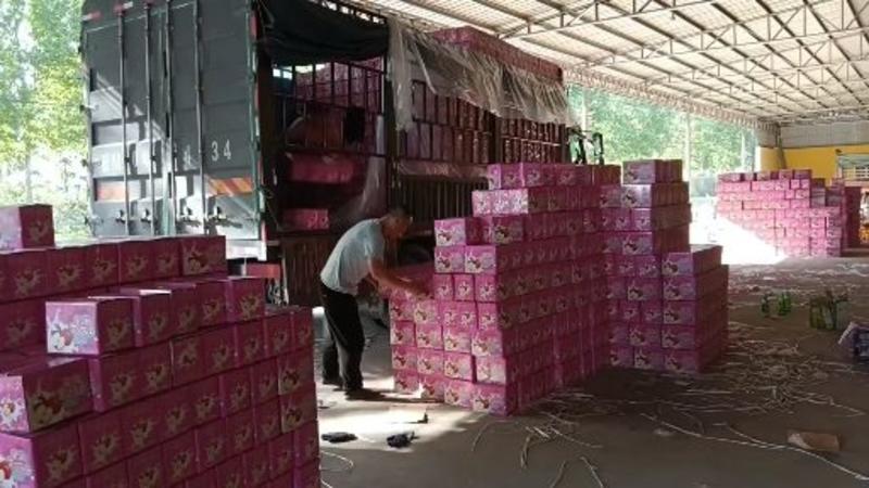 山西省运城市万荣县羊奶苹果产地直销货源充足可代发