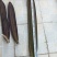 木蝴蝶千层纸整条长30-90cm宽6-12cm