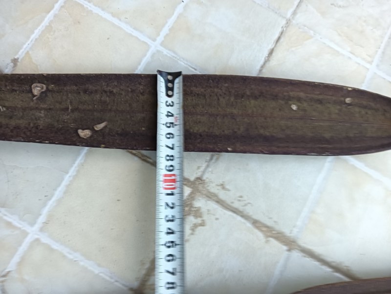 木蝴蝶千层纸整条长30-90cm宽6-12cm