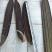 木蝴蝶千层纸整条长30-90cm宽6-12cm