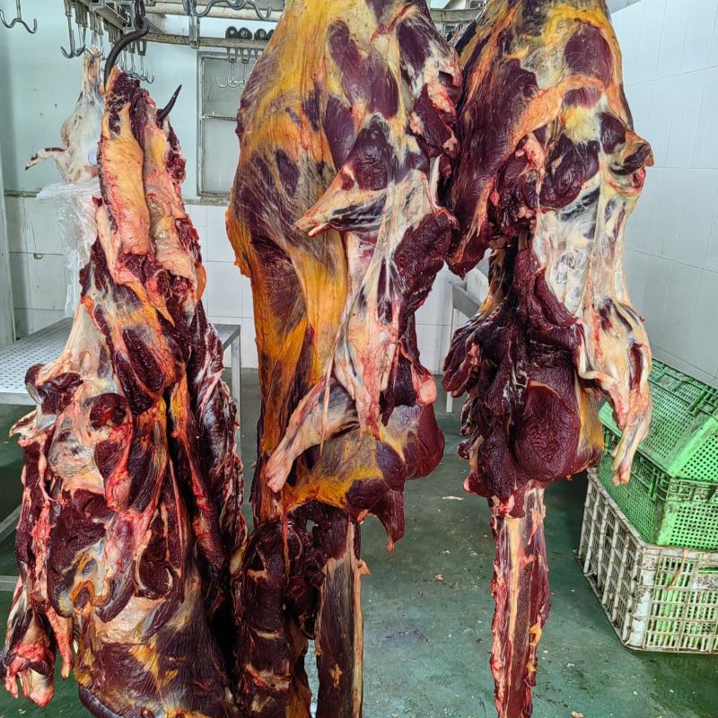 内蒙古黄标牛肉