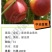 新品种桃树苗开始发货啦，保证纯度，保邮寄