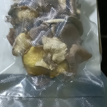 千年红马桑菌