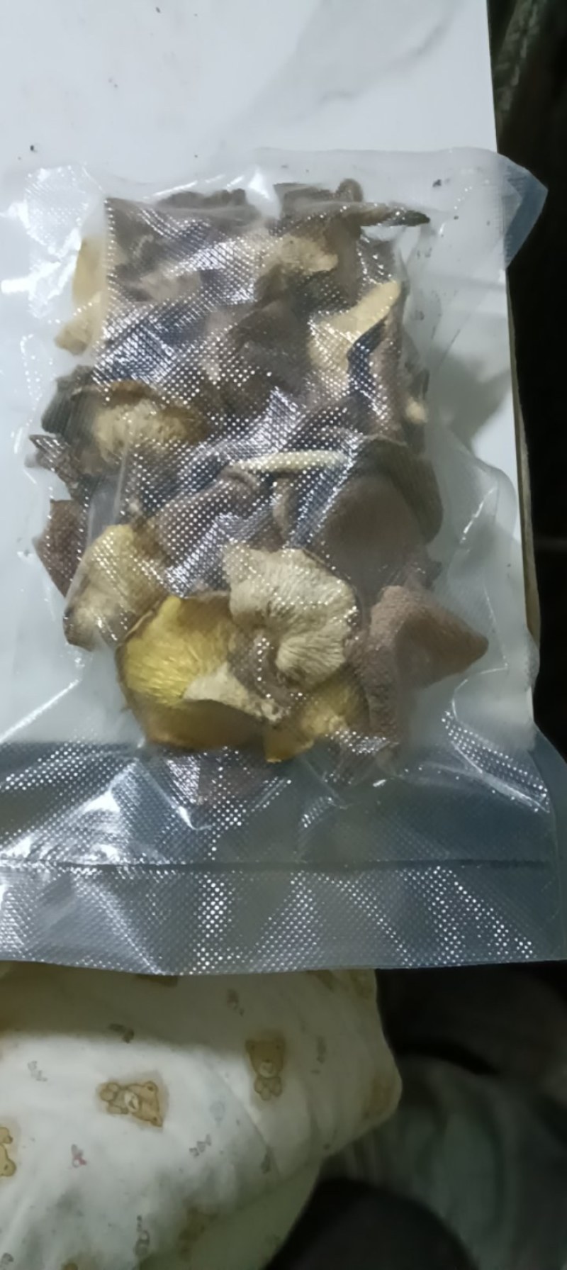 千年红马桑菌