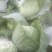 丰园913莲花白，嫩气，货源充足，物美价廉！