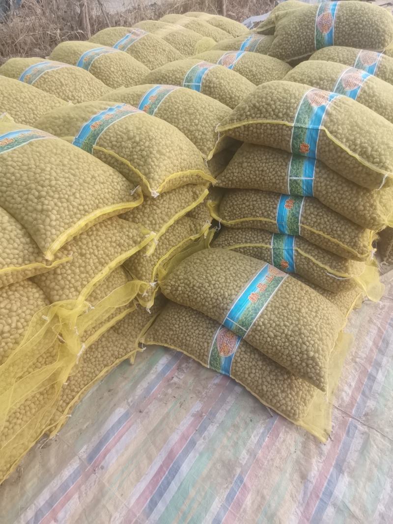 白玉山药豆种子