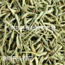 金银花色青头茬花苞爆满关书药业新货上市