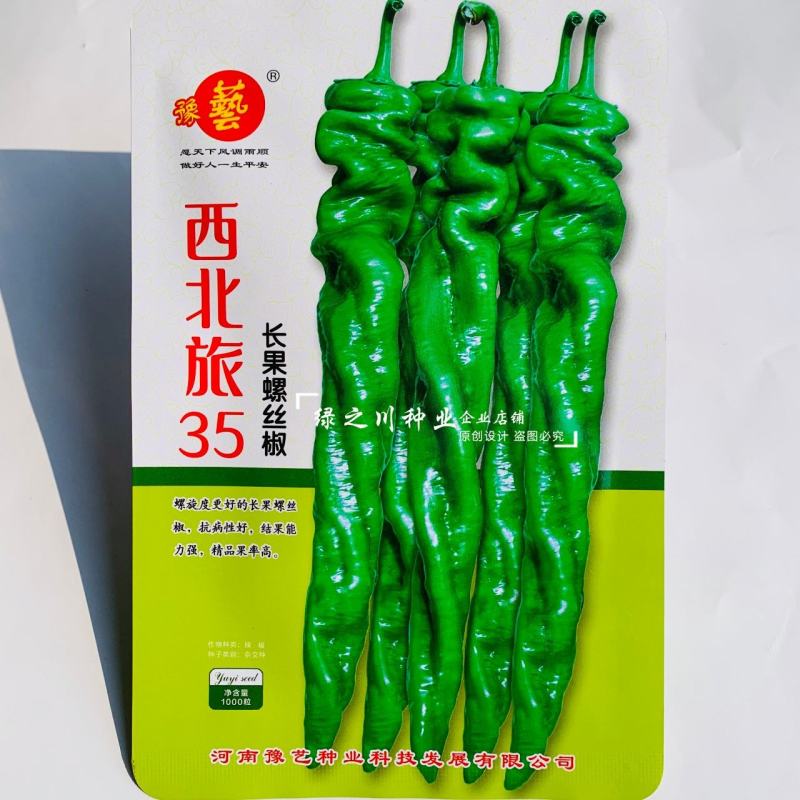 豫艺螺丝椒种子新品种西北旅35螺丝椒种子特辣香味浓皮薄
