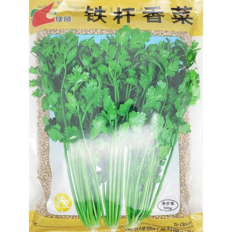 铁杆香菜种子高产耐热耐寒抗倒伏耐抽苔芫荽种子500克原装