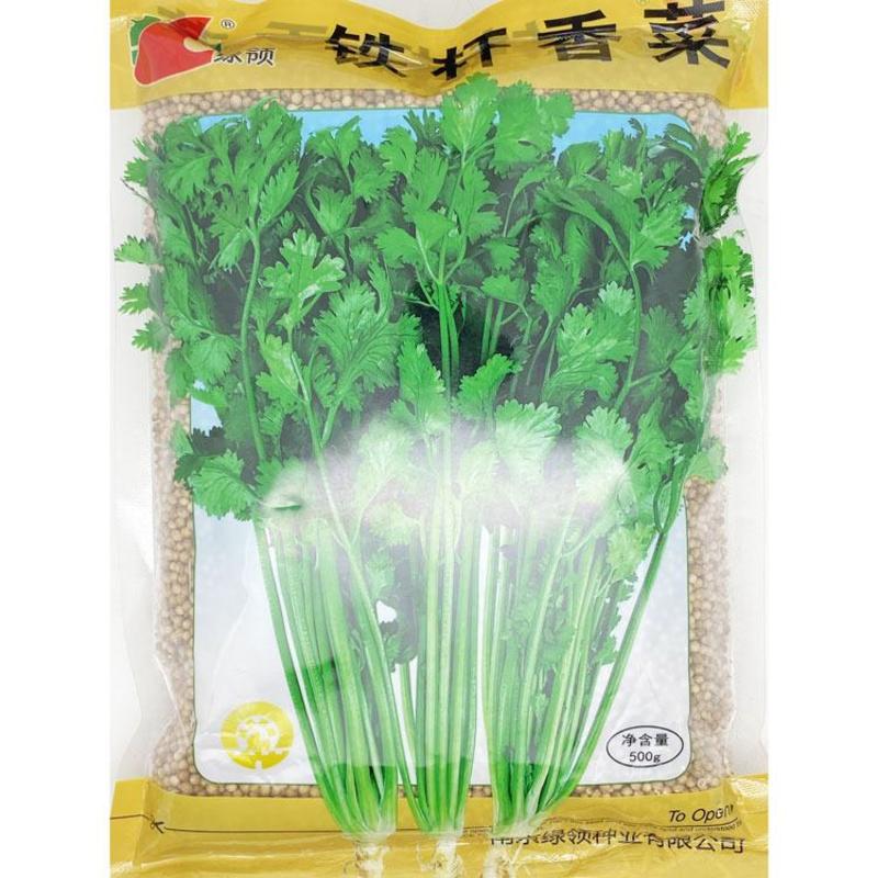 铁杆香菜种子高产耐热耐寒抗倒伏耐抽苔芫荽种子500克原装