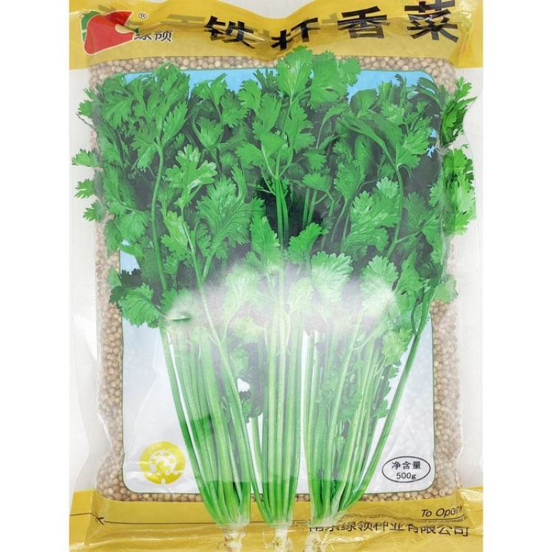 铁杆香菜种子高产耐热耐寒抗倒伏耐抽苔芫荽种子500克原装