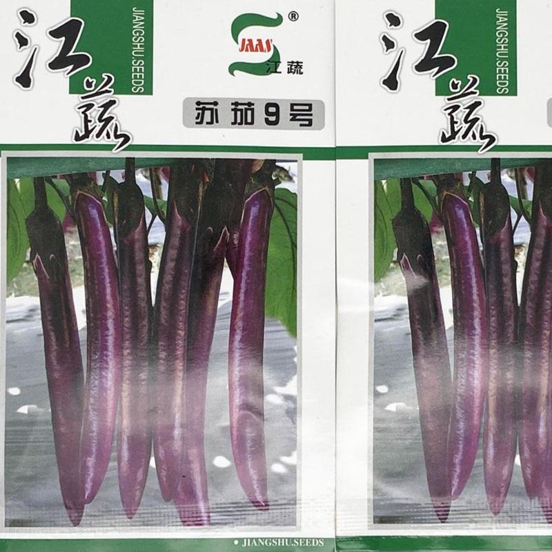 苏茄9号紫红长茄茄子种子高产耐低温紫红长棒型红茄种子原装