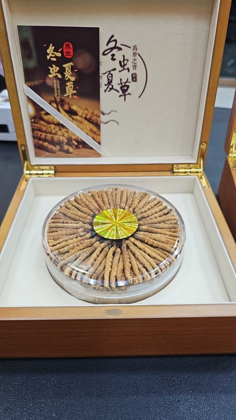那曲虫草大量供应产地直供质量上乘货源充足欢迎订购