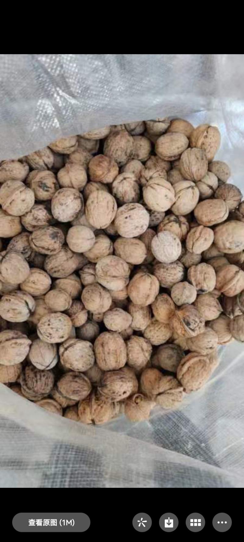 周至秦岭山精品核桃