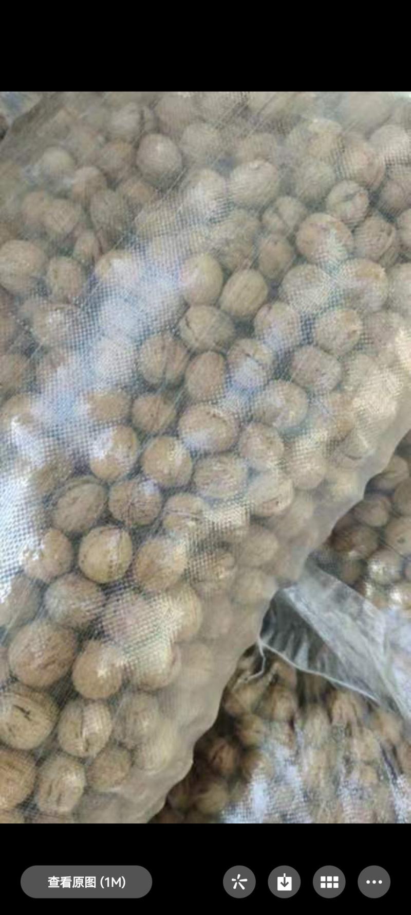 周至秦岭山精品核桃