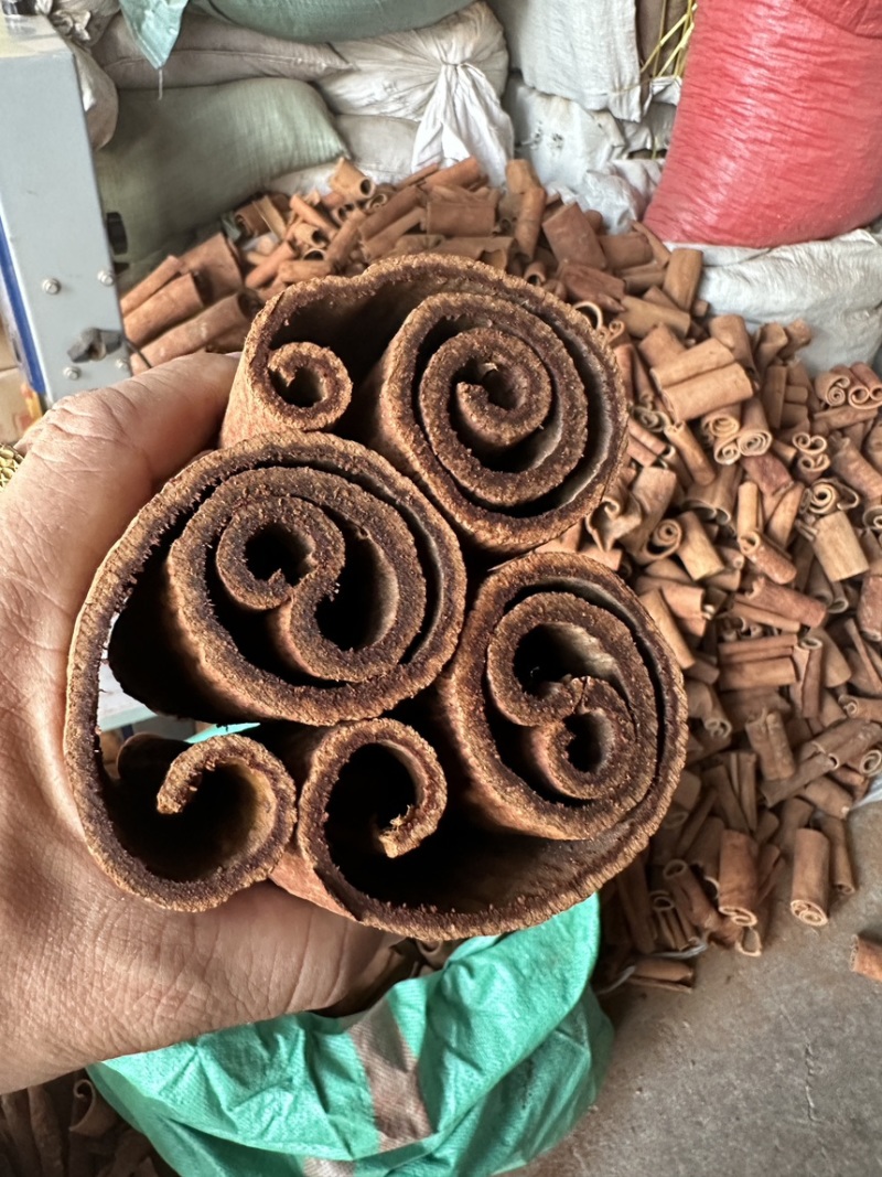 紫油桂广西桂皮质好价优产地直发量大从优欢迎采购