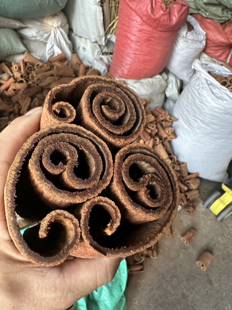 紫油桂广西桂皮质好价优产地直发量大从优欢迎采购