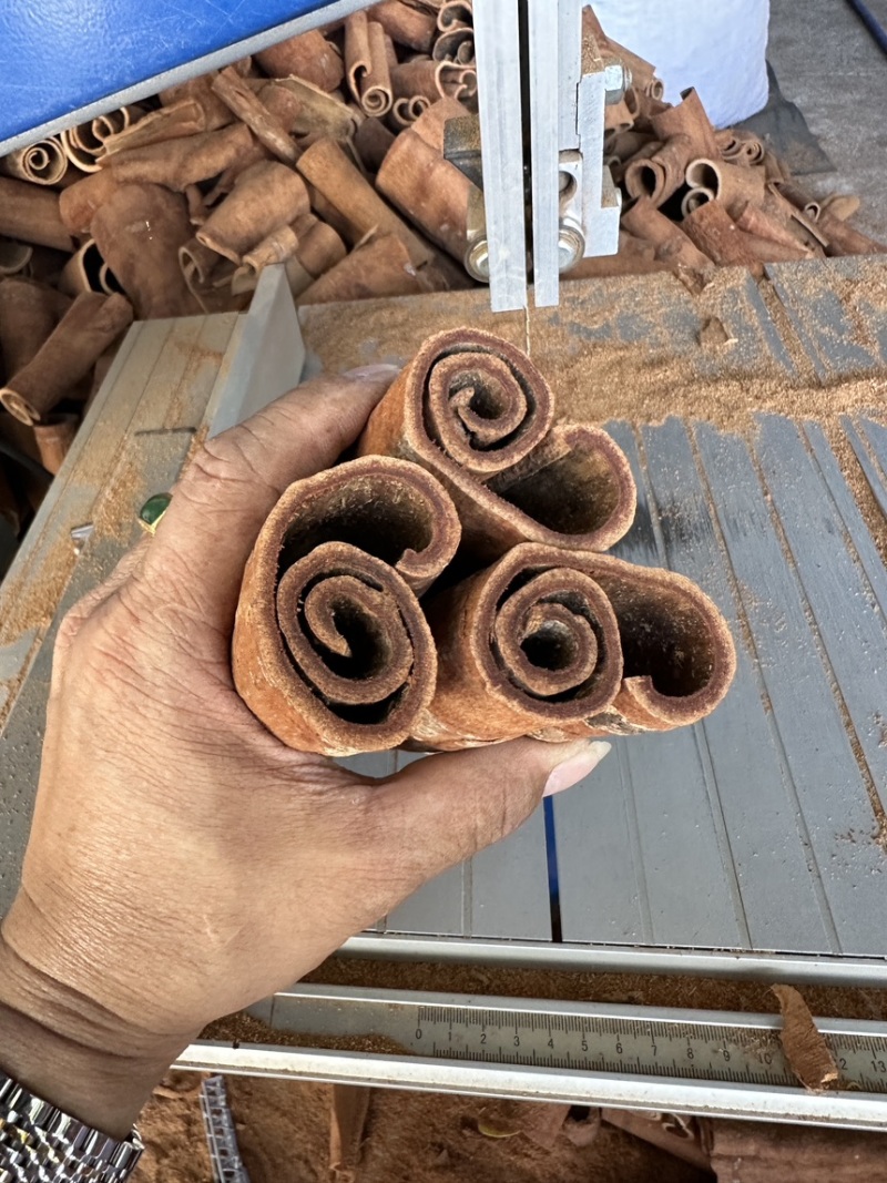 紫油桂广西桂皮质好价优产地直发量大从优欢迎采购