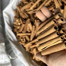 精品烟桂广西桂皮质好价优产地直发量大从优欢迎采购