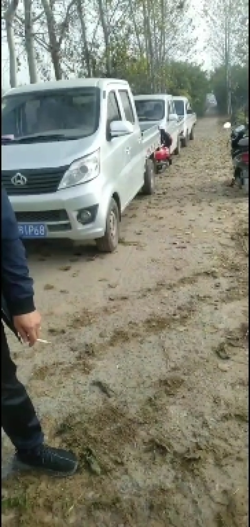 大量批发小燕顶红萝卜，价格优惠，当天装车。品种纯正。
