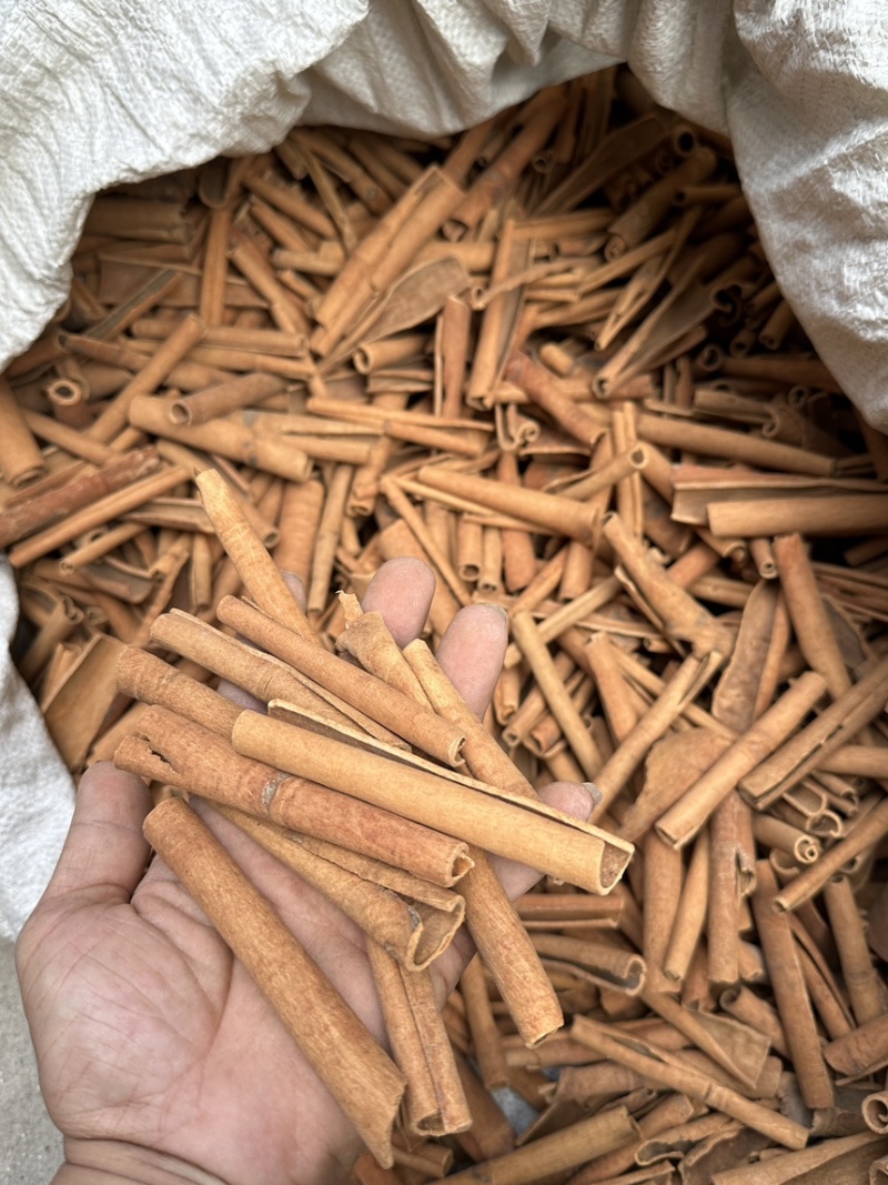 肉桂烟桂
