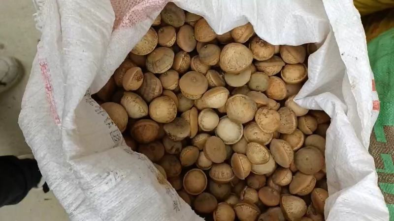 粒粒有肉簿壳的风流果，产地直销，当季新货，一百斤可议价。