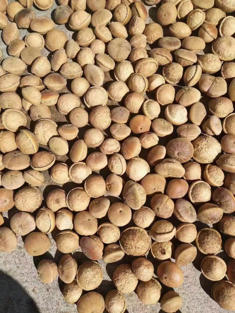 粒粒有肉簿壳的风流果，产地直销，当季新货，一百斤可议价。