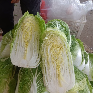 精品白菜，黄心白菜，货源充足，代发全国，诚信第一