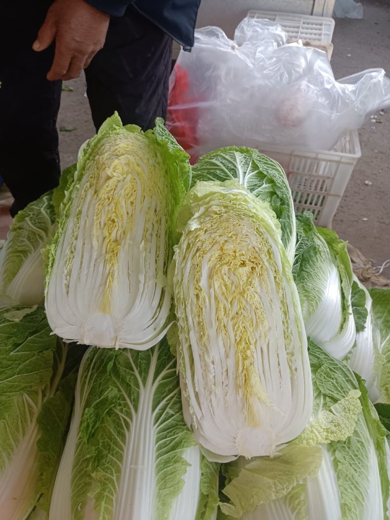 精品白菜，黄心白菜，货源充足，代发全国，诚信第一