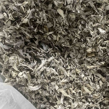 张家界莓茶成叶茶