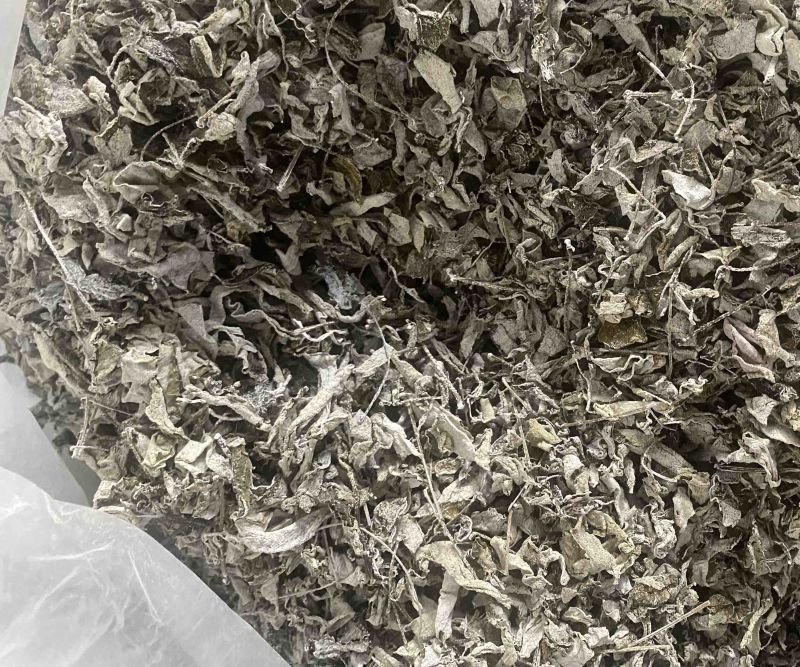张家界莓茶成叶茶