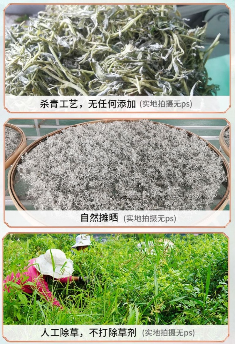 张家界莓茶成叶茶