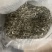张家界莓茶成叶茶