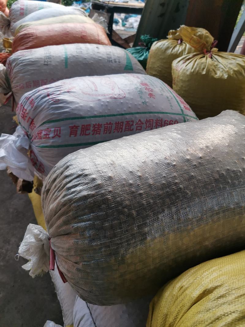 茶叶籽，可做种子，可榨油，