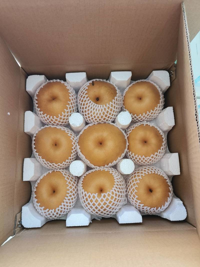 金果梨