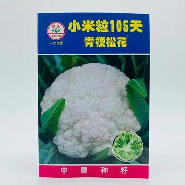 春秋80天青梗松花菜种子耐寒中晚熟大球白色花椰菜种籽20