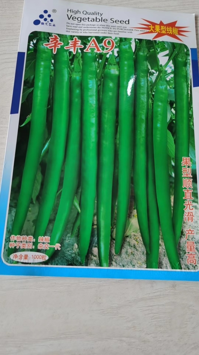 香辣长线椒种子，光滑顺直，挂果集中且高产，保质保量