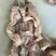 牛蹄子牛脚整只无骨7成熟牛蹄软糯现货供应下单秒发