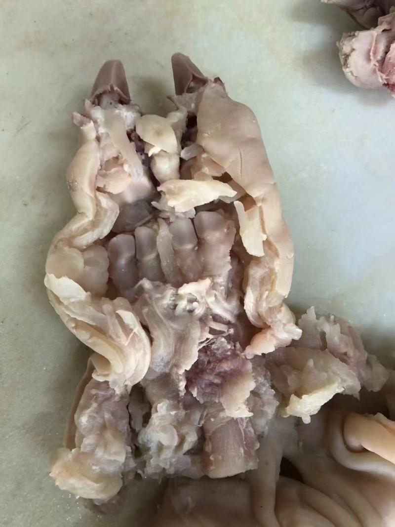 牛蹄子牛脚整只无骨7成熟牛蹄软糯现货供应下单秒发