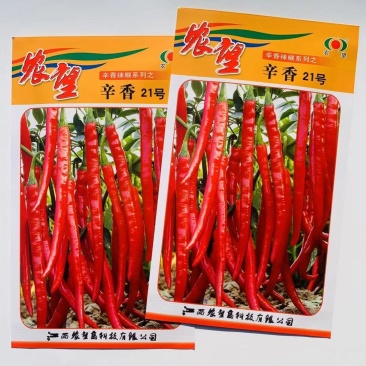 特大牛角椒种子大果青椒辣椒种籽肉厚青椒微辣高产蔬菜种子四