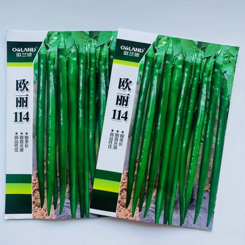 特大牛角椒种子大果青椒辣椒种籽肉厚青椒微辣高产蔬菜种子四