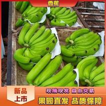 巴西香蕉产地直发，一手货源，诚信经营，欢迎采购