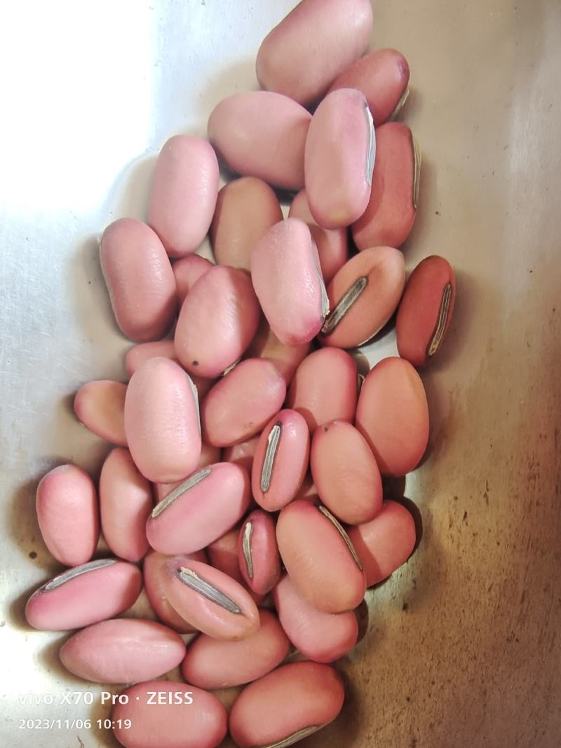 刀豆红刀豆干货2斤包邮中药材量大优惠