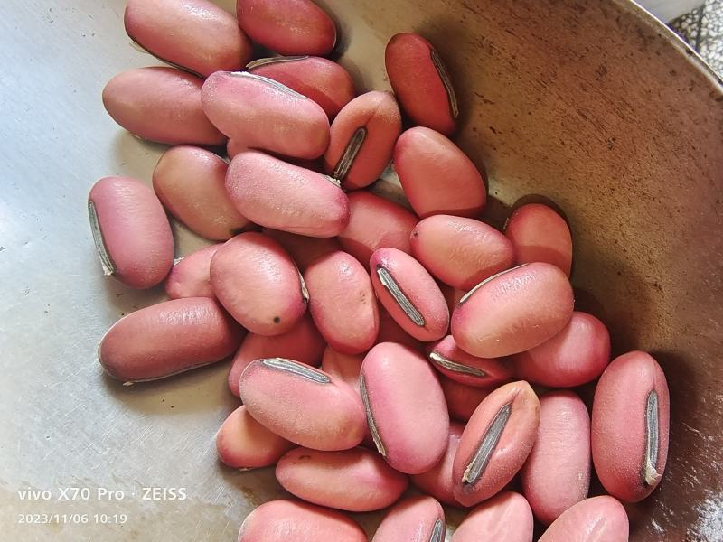 刀豆红刀豆干货2斤包邮中药材量大优惠