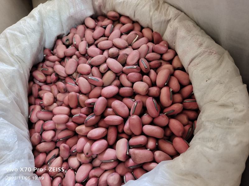 刀豆红刀豆干货2斤包邮中药材量大优惠