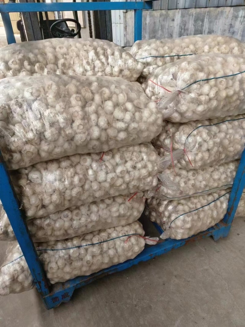 金乡大蒜颗颗精选皮薄肉厚产地直发品质保证一手货源量大从优