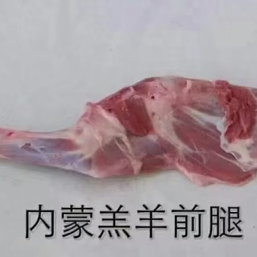 【羔羊带骨前腿】草地羊的标准件19斤，烧烤必备！鲜嫩可口