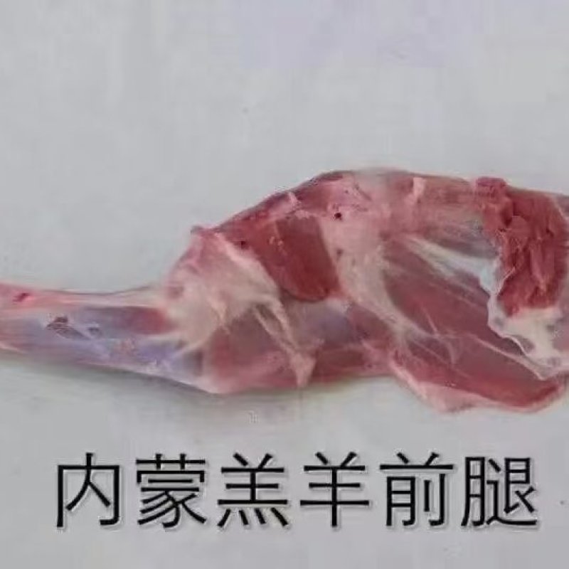 【羔羊带骨前腿】草地羊的标准件19斤，烧烤必备！鲜嫩可口