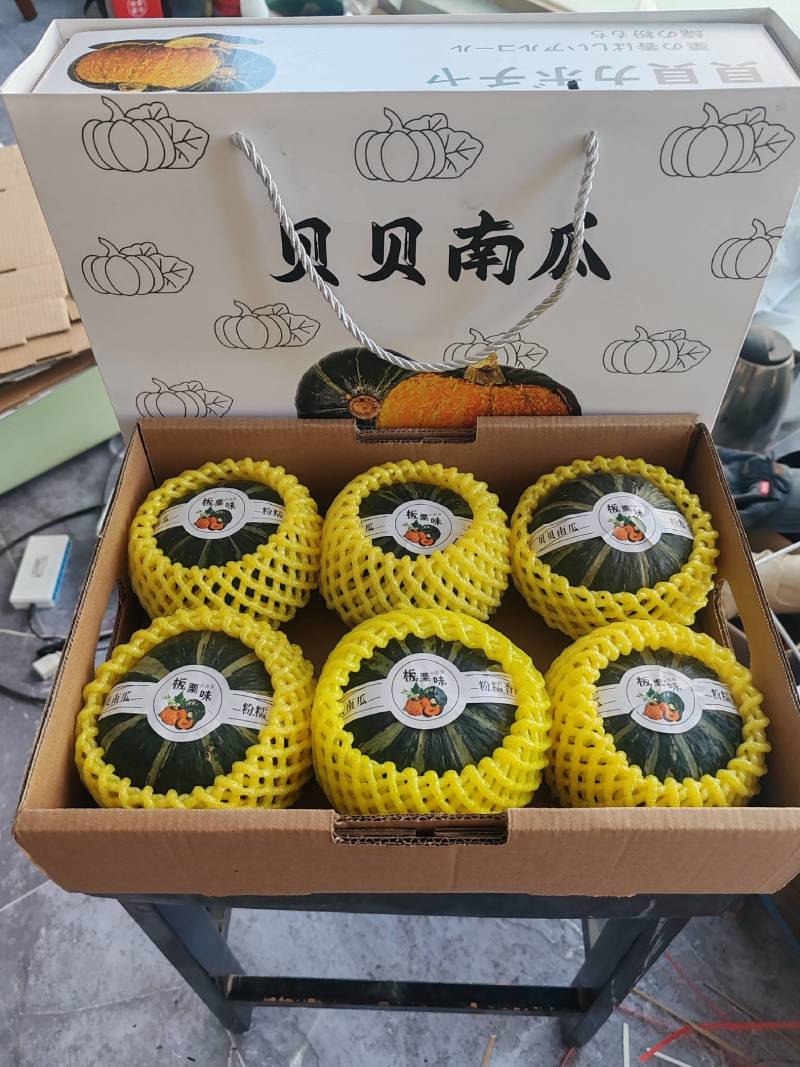 【优选商家】国产贝贝南瓜产地直供量大从优可视频看货