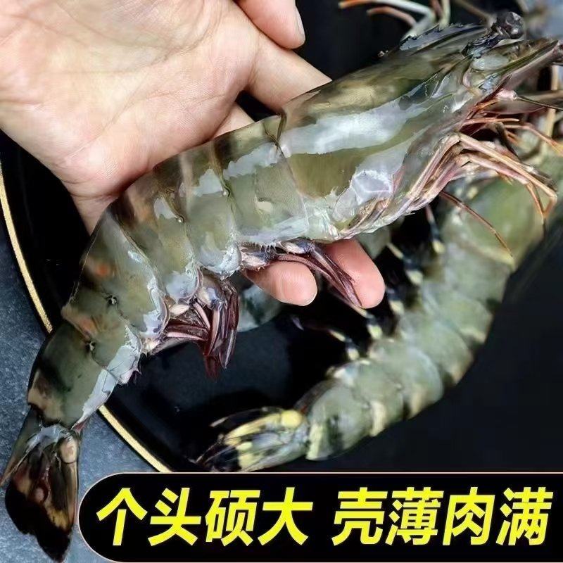 黑虎虾散装一箱净重24斤个大壳薄肉满颜色鲜亮